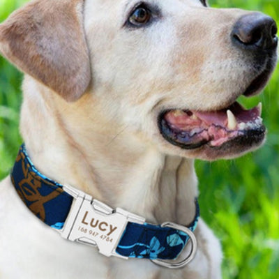 Collar de Perro Ajustable y Seguro