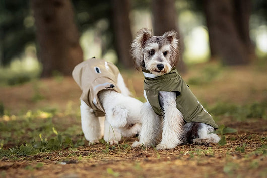 Poncho Impermeable Reflectante para Perros - Protección Total en Lluvia y Viento - Image 14