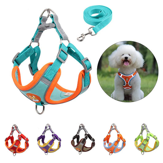 Arnés y Correa para Perro Pequeño - Set Ajustable con Reflectantes - Image 4
