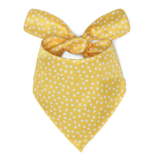 Babero Estampado para Perros Fashion Pet - Image 11