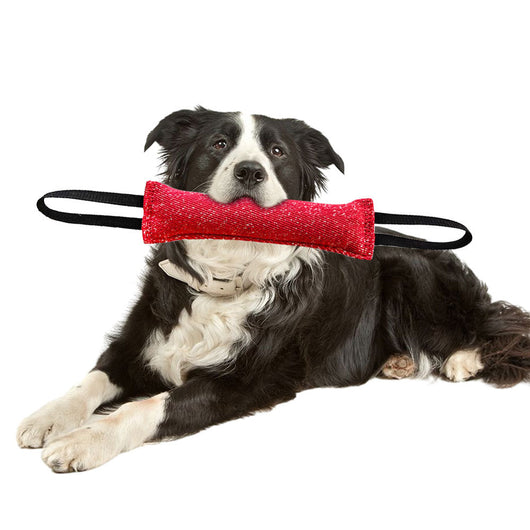 Juguete Masticable para Perros Medianos - Palo de Limpieza Dental Resistente - Image 7