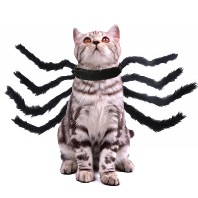 Disfraz de Araña Halloween para Mascotas - Gato y Perro - Image 18