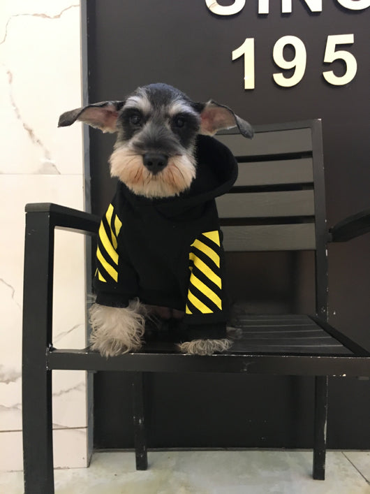 Suéter Acogedor para Cachorros - Image 10