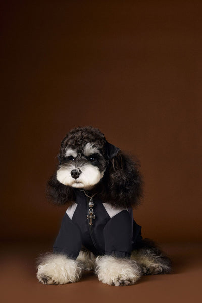 Ropa Deportiva Otoñal para Perros Macho - Diseño Elegante y Funcional - Image 15