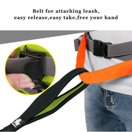 Chaleco de Entrenamiento con Bolsillos para Perros - Running y Actividades Outdoor - Image 13