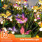Lámpara Solar de Jardín Luciérnagas y Mariposas de Colores