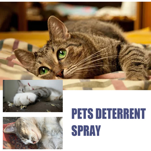 Spray Repelente Anti-arañazos para Perros y Gatos - Protege Puertas y Muebles - Image 8