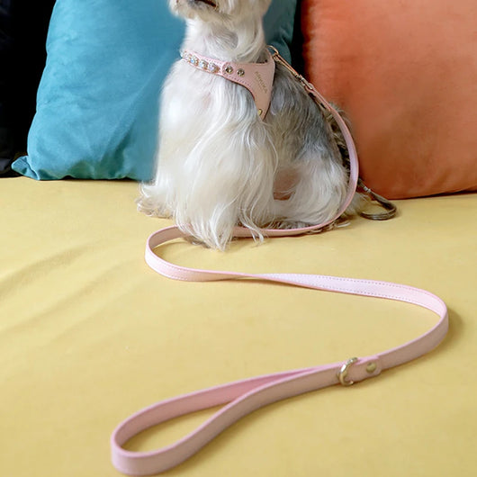 Arnés y Correa para Perro de Cuero PU con Strass Ajustable - Image 19