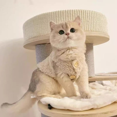 Chaleco Abrigador de Lana de Cordero para Gatos - Diseño Cálido e Adorable - Image 12