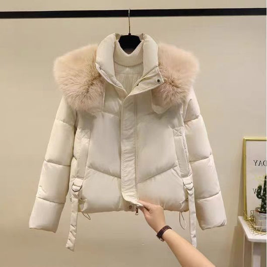 Abrigo de Invierno Acolchado en Algodón Negro para Mujer - Image 3