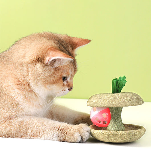 Juguete de Hierba Gatera Comestible con Campana - Juego Interactivo para Gatos - Image 4