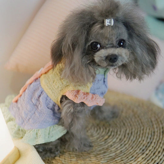 Vestido para Mascotas Estilo Coreano Transpirable con Protección Solar - Image 10