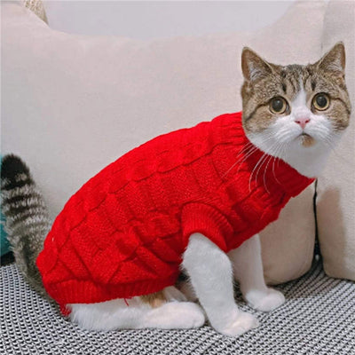 Suéter Tejido para Gatos Otoño Invierno - Diseño Adorable y Cómodo - Image 15