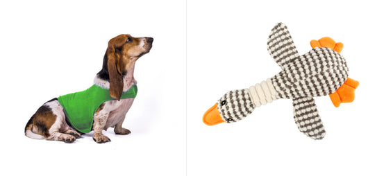 Chaleco Calmante para Mascotas - Ropa Terapéutica Antiansíedad para Gatos y Perros - Image 19