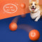 Pelota de Goma Resistente para Perros - Juguete Masticable Duradero