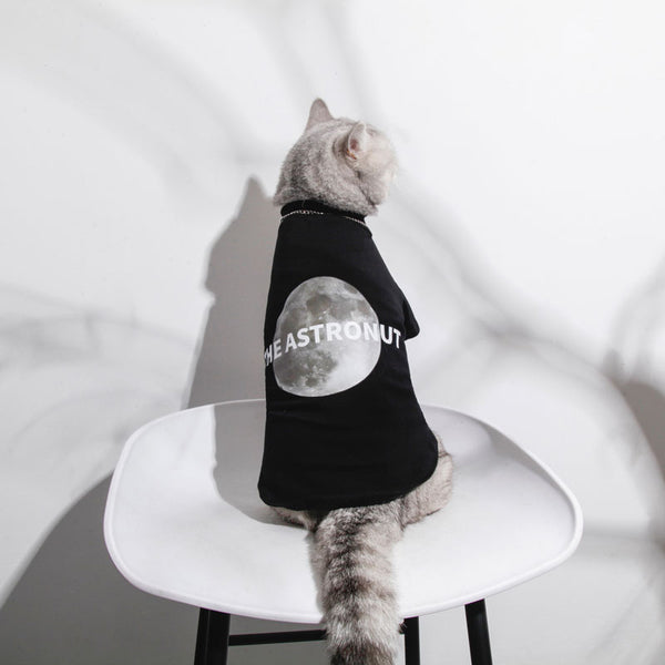 Ropa Fresca para Gatos - Diseño Ligero para Verano