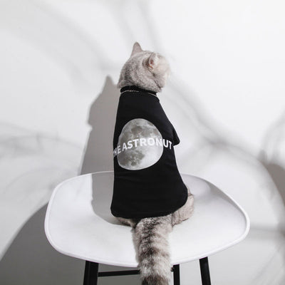 Ropa Fresca para Gatos - Diseño Ligero para Verano
