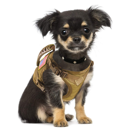 Black tactical pet harness made of Oxford cloth with an American flag patch, top handle, and quick-release buckles. - Image 18