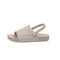 Apricot 36 To 37