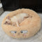 Casa Cama para Gato con Arenero Integrado