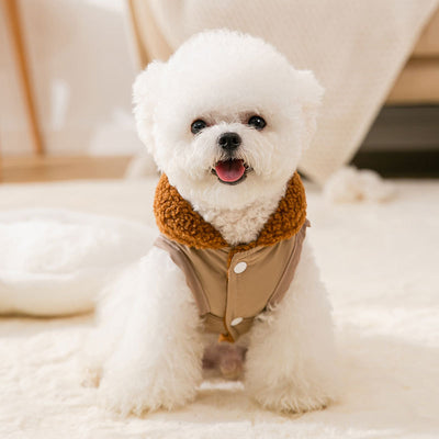 Suéter Cálido Estilo Coreano para Perros y Gatos Pequeños - Abrigo de Invierno Adorable - Image 3
