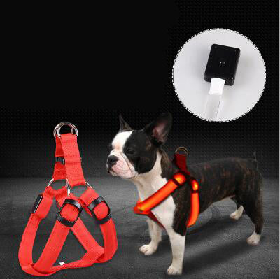 Arnés Reflectante LED para Perros Grandes con Correa Luminosa