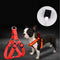 Arnés Reflectante LED para Perros Grandes con Correa Luminosa