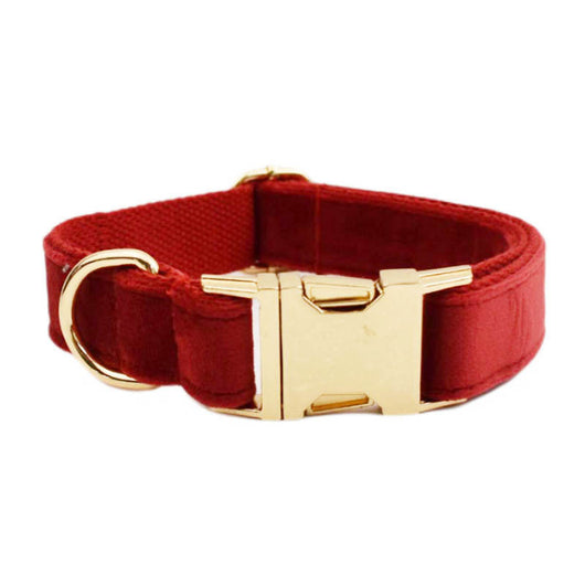Collar de Tracción Resistente para Perros - Image 2