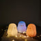Luz Nocturna Pingüino