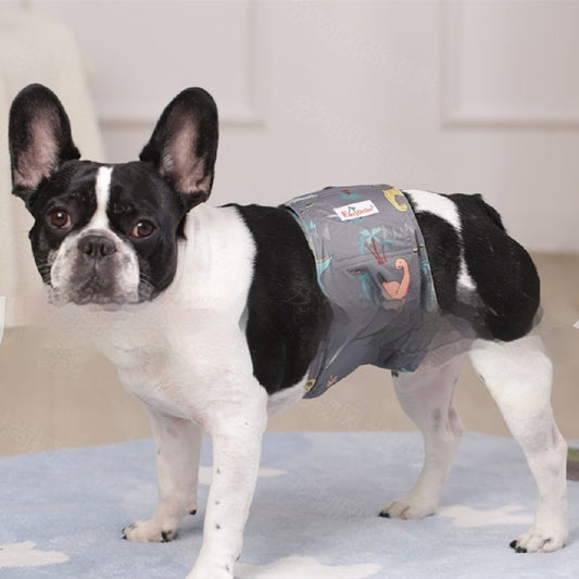 Pañales Fisiológicos Lavables para Perros