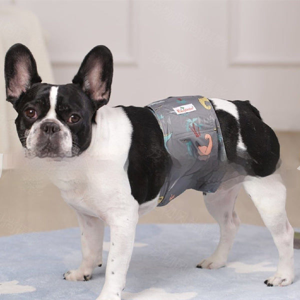 Pañales Fisiológicos Lavables para Perros