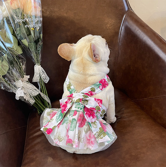 Sombrero Cubo de Algodón Ultra Fino para Mascotas - Gorra Princesa Versátil para Dama