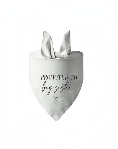 Pañuelo Triangular para Mascotas en Bodas y Eventos - Image 6