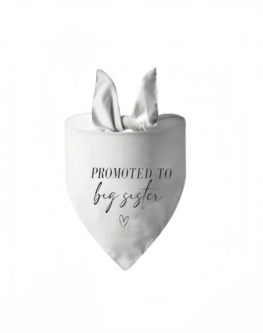 Pañuelo Triangular para Mascotas en Bodas y Eventos - Image 6