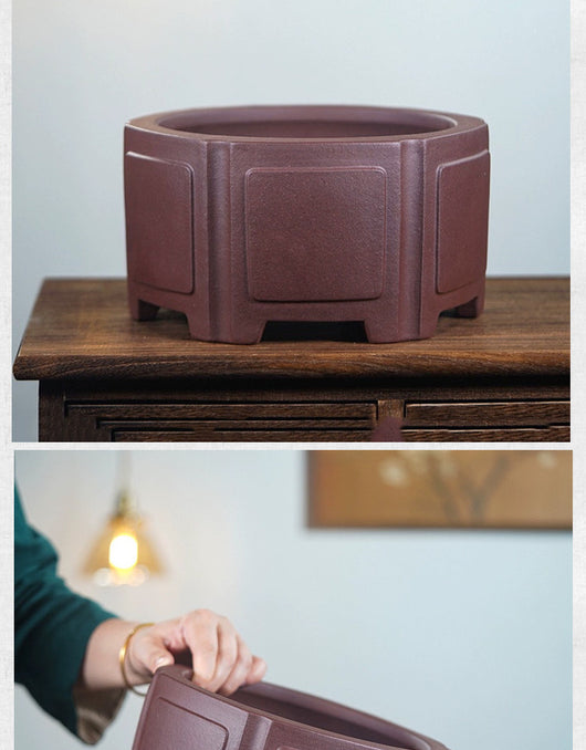 Maceta Hexagonal de Arena Púrpura para Bonsái - Diseño Clásico Minimalista - Image 12