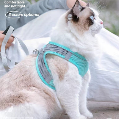 Small light brown poodle wearing an orange mesh dog vest harness with reflective trim and a retractable leash. - Image 29