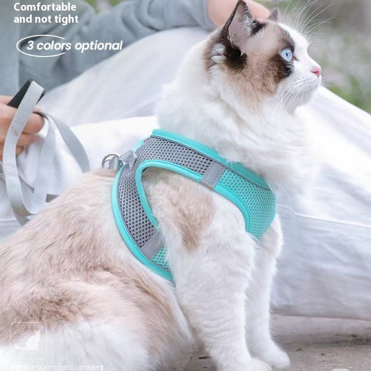 Small light brown poodle wearing an orange mesh dog vest harness with reflective trim and a retractable leash. - Image 29