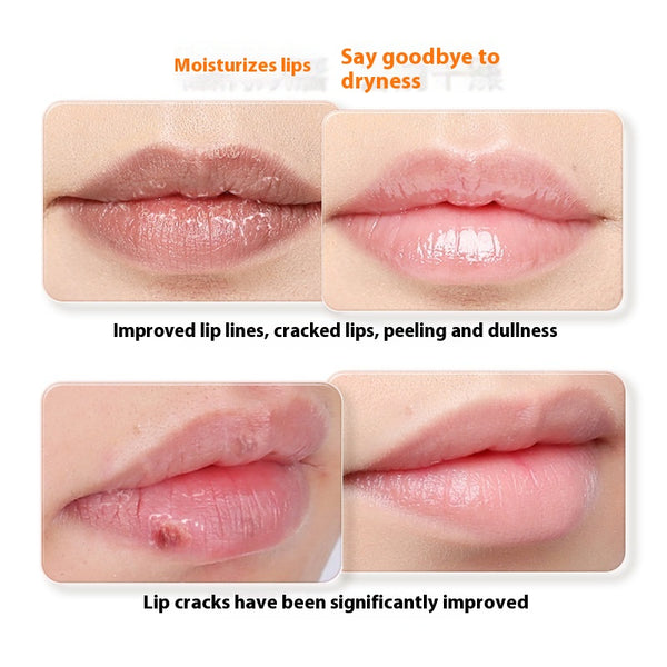 Bálsamo Labial Nutritivo Hidratante Anti-grietas Transparente