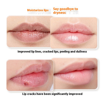 Bálsamo Labial Nutritivo Hidratante Anti-grietas Transparente - Image 2