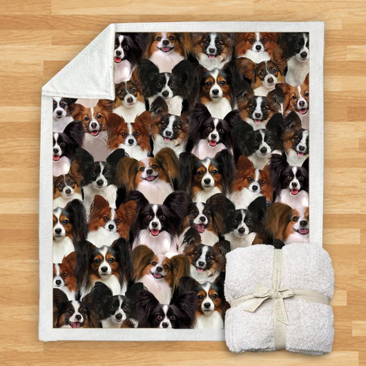 Manta de Franela Estampada para Perros de Diseño Moderno - Image 9