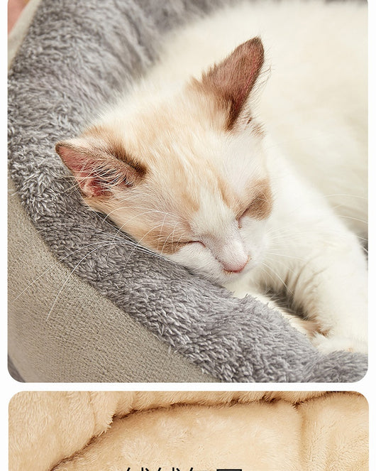 Cama Ortopédica Universal para Mascotas Todas las Estaciones - Image 10