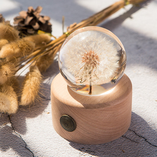 Caja de Música con Flores Preservadas y Bola de Cristal - Image 16