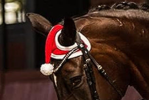 Calentadores Navideños para Piernas - Accesorios de Fiesta - Image 13