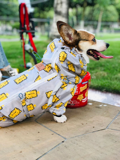 Impermeable Completo para Perros Pequeños Golden Retriever y Corgi - Image 6