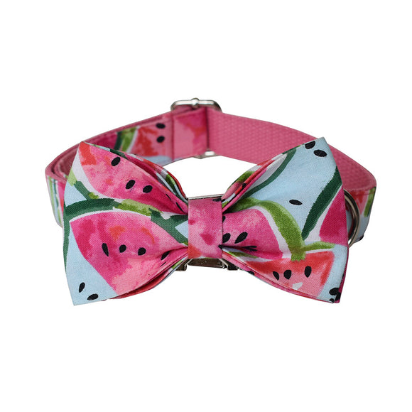 Collar y Correa para Perros - Control Seguro y Cómodo