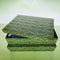 Verde 17 X 13X3.5 Cm
