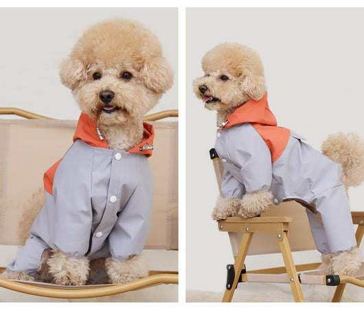 Chaqueta Impermeable y Antipolvo para Perros Pequeños y Medianos - Image 18