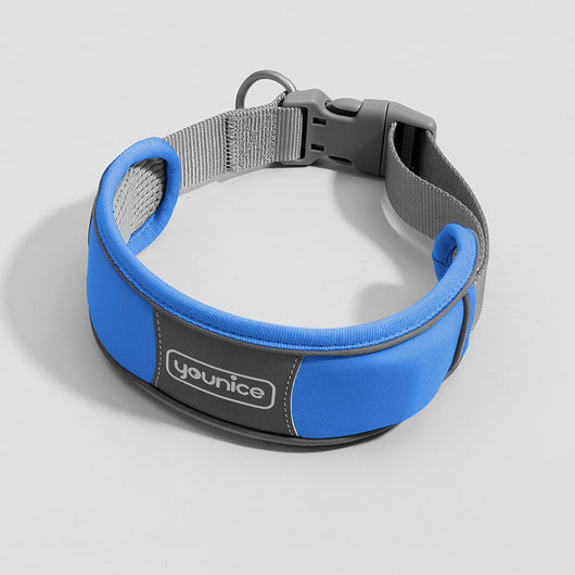 Collar y Correa para Perro Resistente a Tirones con Cierre de Seguridad - Image 6