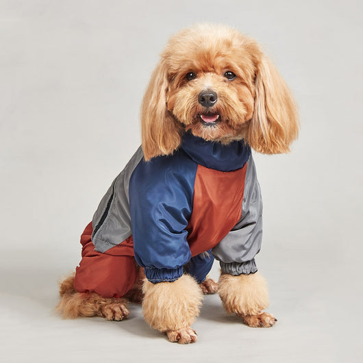 Abrigo Acolchado para Perros Medianos y Grandes - Diseño a Juego de Colores para Invierno - Image 10