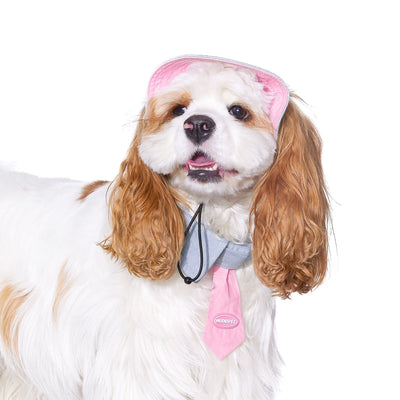 Toalla Absorbente para Perros Pequeños - Yorkshire, Bichón y Razas Toy - Image 3